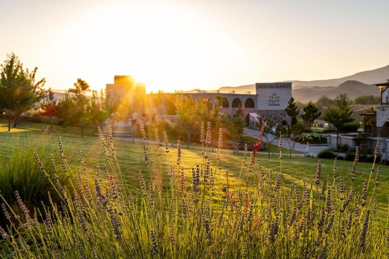 Ajwa Cappadocia - Preferred Legend Collection