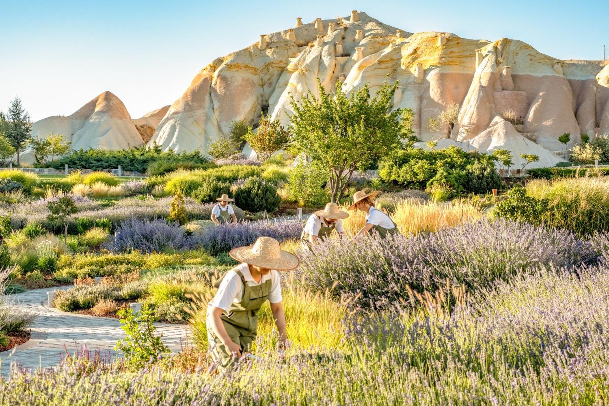 Ajwa Cappadocia - Preferred Legend Collection מלון 5*